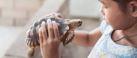 What is the average cost of owning a pet?