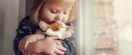 What is the average cost of owning a cat?